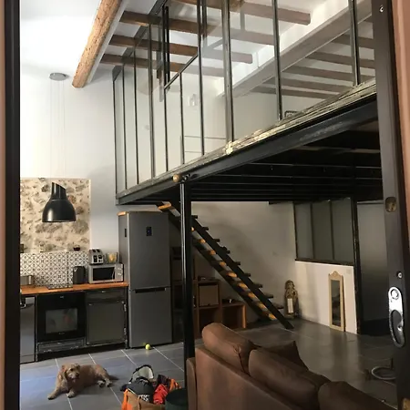 Loft 60 M2 Centre Apartment Sete